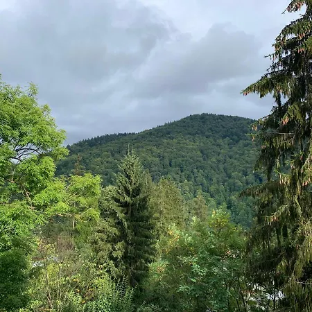 Belle View *